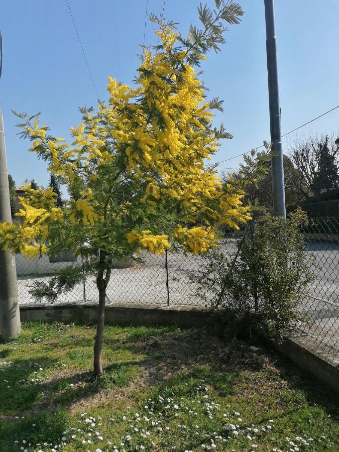 Appartement La Birichina à SantʼArcangelo di Romagna Extérieur photo